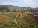Thumbnail of: 2020-11-10 014 mt newton valley.jpg