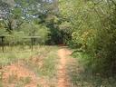 Thumbnail of: 2020-05-18 002 Auroville - path to forecomers tree nursery.jpg