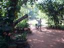 Thumbnail of: 2020-05-19 004 Auroville - n.c. martin coming into nursery.jpg