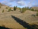 Thumbnail of: 46 trees, clouds, and shadow.jpg