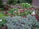 Thumbnail of: Flower bed