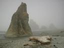 Thumbnail of: Fog at ruby beach