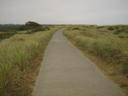 Thumbnail of: Westport bike trail along the sand dunes