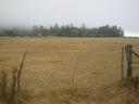 Thumbnail of: Field near my sleeping place