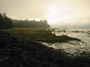 Thumbnail of: Mud flats