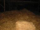 Thumbnail of: The hay barn