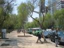 Thumbnail of: Paseo de Reforma