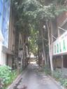 Thumbnail of: Alley in Zona Rosa