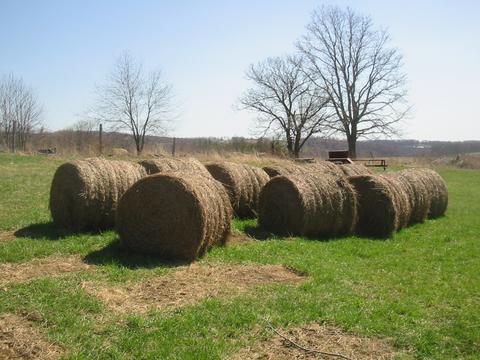 Photo of: Hay bales