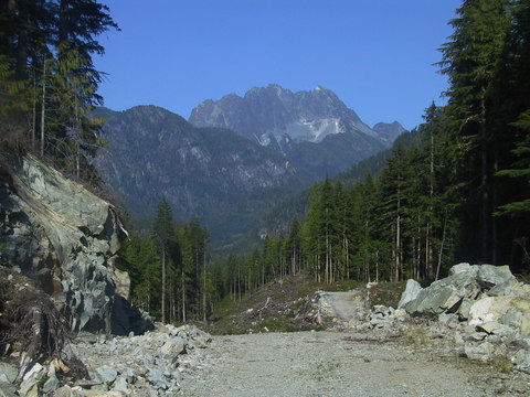 Photo of: Looking into Strathcona Park from a logging road near Gold River, BC (Aug 2005)