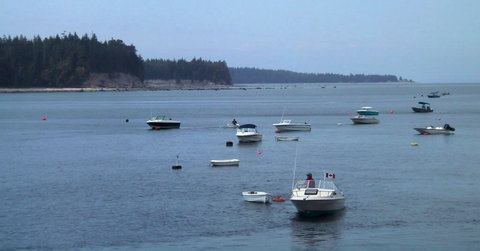 Photo of: Recreational boats at Savary Island, Aug 2005