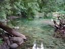 Thumbnail of: Emerald Pool