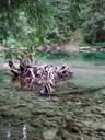 Thumbnail of: Emerald Pool