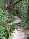Thumbnail of: Boardwalk along pools at top of Fletcher Falls