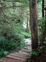 Thumbnail of: Boardwalk