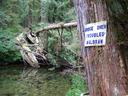 Thumbnail of: Sign for bridge