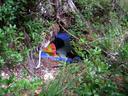 Thumbnail of: Camper's hole under a tree