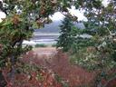 Thumbnail of: Flooded field near Horticulture Centre