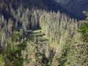 Thumbnail of: A meadow in the valley below