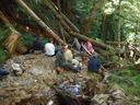Thumbnail of: 20020921_121453.jpg