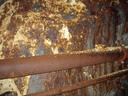 Thumbnail of: 20020921_133220.jpg