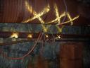 Thumbnail of: 20020921_135652.jpg