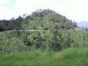 Thumbnail of: On the way to Juchitan
