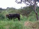 Thumbnail of: On the way to Juchitan