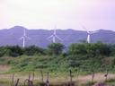 Thumbnail of: On the way to Juchitan
