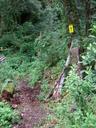 Thumbnail of: Trail from Benito Juarez to Cuajimoloyas