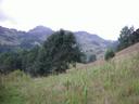 Thumbnail of: Trail from Benito Juarez to Cuajimoloyas