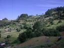 Thumbnail of: Around Benito Juarez