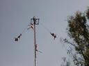 Thumbnail of: Voladores Rite