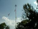 Thumbnail of: Voladores Rite