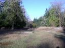 Thumbnail of: Beautiful clearing near Englishman River and Top Bridge Trail