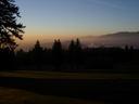 Thumbnail of: View of trees and Vancouver from Burnaby Mountain at sunset