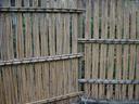 Thumbnail of: Bamboo fence