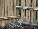 Thumbnail of: Bamboo fence