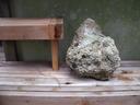 Thumbnail of: Shelf and stone