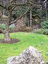 Thumbnail of: Bird feeder in apple tree