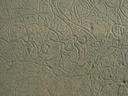 Thumbnail of: More sand patterns