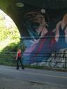 Thumbnail of: Mural under Gorge Road bridge