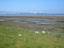 Thumbnail of: Deltaport and ferry terminal mud