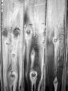 Thumbnail of: Fence