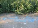 Thumbnail of: Graffiti on the road while waiting for spare tyre
