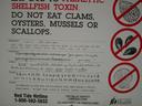 Thumbnail of: Red tide warning, in many languages (I didn't know there were many Loatians in Washington)
